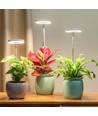 LEDlife lampe de croissance avec piquet - 12W, minuterie, dimmable, hauteur réglable