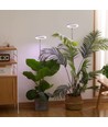 LEDlife lampe de croissance avec piquet - 12W, minuterie, dimmable, hauteur réglable