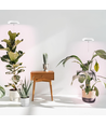 LEDlife lampe de croissance avec piquet - 12W, minuterie, dimmable, hauteur réglable