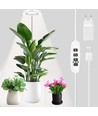 LEDlife lampe de croissance avec piquet - 12W, minuterie, dimmable, hauteur réglable
