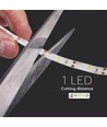 Ruban LED 1m 2,4W/m résistant aux éclaboussures - 6V DC, IP65, capteur PIR, batterie, 30 LED par mètre