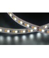 Ruban LED CCT 10m 10W/m RA95 - 24V DC, IP20, 240 LED par mètre