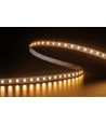 5m 9,5W/m Ruban LED CCT RA94 - 24V DC, IP20, 240 LED par mètre