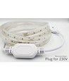 Bande lumineuse étanche 5 m pour carrière équestre (Type X-2) - 230V, IP67, 1300 lm/m, 10W/m, coupable tous les 10 cm