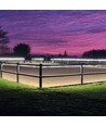 50m Piste d'équitation 230V bande - IP65, 120 LED/m, 4,8W/m, 480 lm/m