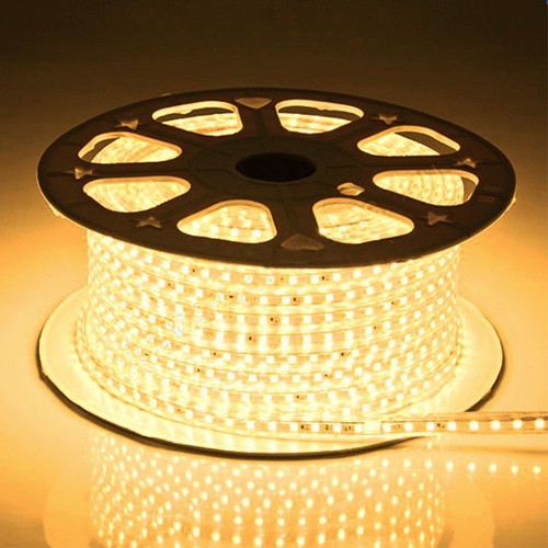 Bande étanche pour carrière équestre de 5 m (Type Q) - 230V, IP67, 120 LED, 6W par mètre