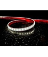 Ruban LED Osram 5m 11W/m RA92 - 24V DC, IP68 étanche, 120 LED par mètre