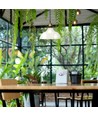 Suspension en verre E27 Ø24,5cm - Transparent, max 60W, hauteur 110cm, base en métal