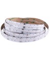 Ruban LED COB 5m 24W/m RGB+WW - 24V DC, IP20, 840 LED par mètre, COB LED