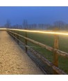 Bande étanche pour carrière équestre de 5 m (Type Q) - 230V, IP67, 120 LED, 6W par mètre