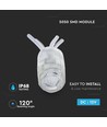 Module 5050 - 0,24W, bleu, IP68