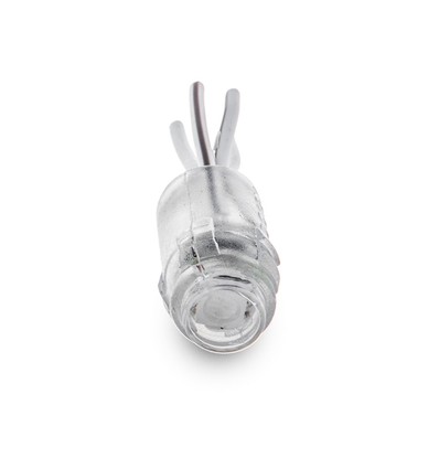 Module LED 0,24W 5050 SMD, 12V - IP68 étanche, Vert, 20lm