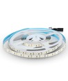Ruban LED 12W/m - Samsung Chip, 12V, 6500K, IP20, 5m/rouleau