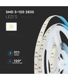 Ruban LED 12W/m - Samsung Chip, 12V, 6500K, IP20, 5m/rouleau