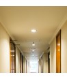 Éclairage intérieur hôtel 35W LED COB 4000K 0-27D