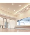 Downlight LED COB 6W Hotel, RA95 - puce CREE, réflecteur argent, orientable, spot encastrable