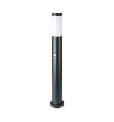 Lampe de jardin 80cm avec capteur - Gris, acier inoxydable, E27, borne, IP44 extérieur, détecteur de mouvement PIR