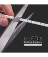 Ruban LED 5m 11W/m - 12V, IP20, 60 LED par mètre, 4000K, SMD 5050