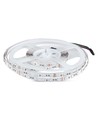Ruban LED 5m 8W/m RGB+3000K - 12V, IP20, 60 LED par mètre