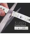 Ruban LED 5m 8W/m RGB+3000K - 12V, IP20, 60 LED par mètre