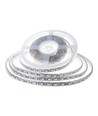 Ruban LED 5m 8W/m étanche - 24V, IP65, 120 LED par mètre, 6500K