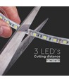 Ruban LED 5m 8W/m étanche - 24V, IP65, 120 LED par mètre, 6500K