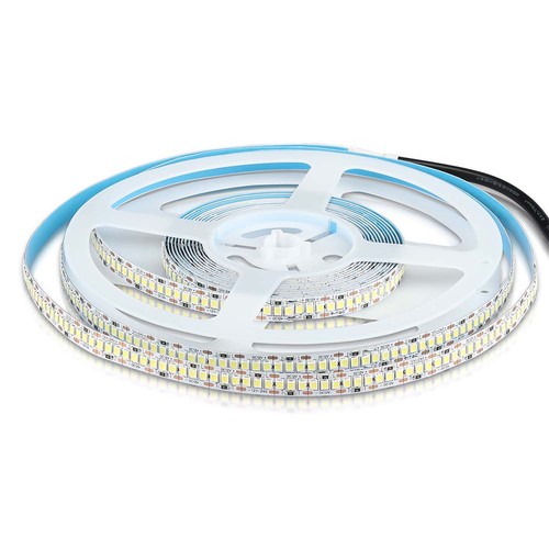 Bande LED 240 SMD 20W/m - 6500K, Haute Luminosité, IP20, 5m/rouleau
