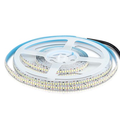 Bande LED 240 SMD 20W/m - 6500K, Haute Luminosité, IP20, 5m/rouleau