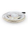 Ruban LED 5m 17W/m - 12V DC, IP20, 204 LED par mètre