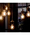 Ampoule LED filament E27 10W - A67, verre ambré, 2200K, 950lm