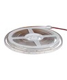 Ruban LED 5m Vert 3,2W/m étanche aux éclaboussures - Lumière verte, IP65
