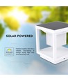 Borne solaire LED 2W Solara avec détecteur - IP65, 3000K, blanc, garantie 3 ans