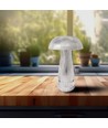 Lampe de table LED rechargeable 1W - Tactile dimmable, 3-en-1 CCT, transparent, Ø16 x 25 cm