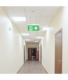 Éclairage de secours 4 en 1 suspendu - panneau EXIT, bouton d'auto-test, fixation mur/plafond/suspension câble, 6000K