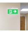 Éclairage de secours 4 en 1 suspendu - panneau EXIT, bouton d'auto-test, fixation mur/plafond/suspension câble, 6000K