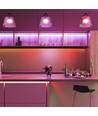 5m 12W/m RGB LED strip - 24V, 120 LED par mètre, IP20, largeur 8mm