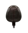 4W Ampoule en forme de pomme E27 - Filament carbone verre noir 300°