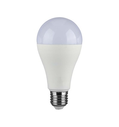 Ampoule LED E27 17W - A65, 4000K