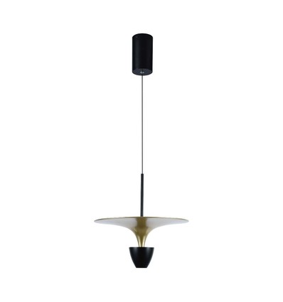 Suspension LED 9W - 4000K, 1000lm, noir/or, 30x320cm, source lumineuse incl.