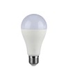 Ampoule LED E27 17W - A65, Samsung LED chip, 1710lm, blanc froid