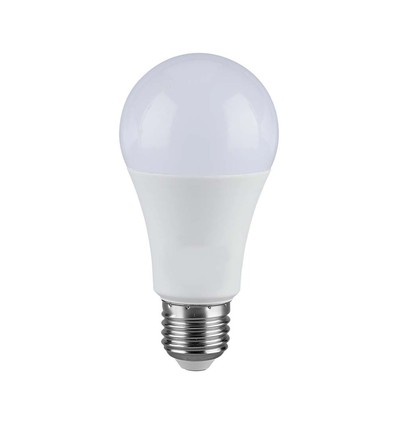 Ampoule LED E27 17W - A65, 3000K, blanc chaud, IP20 intérieur