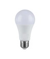 Ampoule LED E27 17W - A65, 3000K, blanc chaud, IP20 intérieur