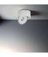 Spot en saillie 28W RA90 - Ø17,8 cm, Hauteur : 8,7 cm, CCT, 3 couleurs de lumière, blanc