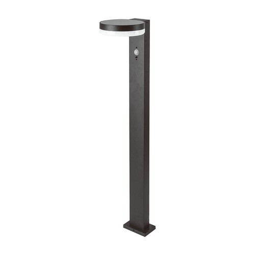 Lampe de jardin solaire LED 5,5W avec capteur - IP54, 3000K, capteur PIR, finition noire