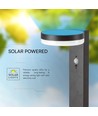 Lampe de jardin solaire LED 5,5W avec capteur - IP54, 3000K, capteur PIR, finition noire