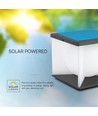 Lampe de jardin Solara avec piquet, 3000K - Solaire, IP65, gris foncé, éclairage décoratif extérieur