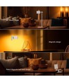 Lampe LED 3-en-1 rechargeable - Magnétique, dimmable, CCT, éclairage haut/bas, blanc, avec pied et 2 supports de montage