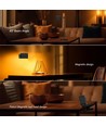 Lampe LED 3-en-1 rechargeable - Magnétique, dimmable, CCT, éclairage haut/bas, noir, incl. pied et 2 supports de montage