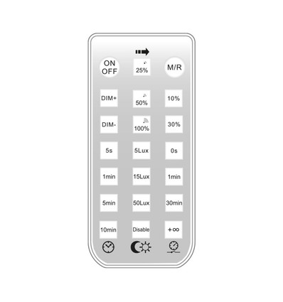 Télécommande pour Gigant Pro avec capteur de mouvement