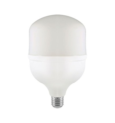 Ampoule LED E27 60W - T160, avec adaptateur de douille E40